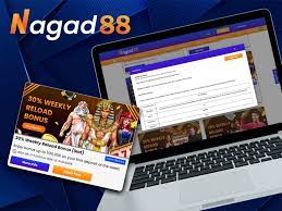 Comprehensive Evaluation of Nagad88